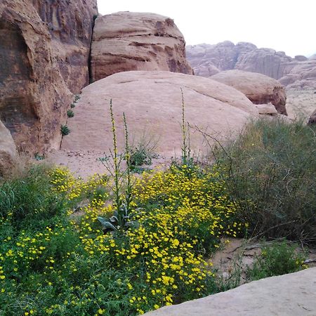 Welcome To Wadi Rum Camp Hotel Exterior photo